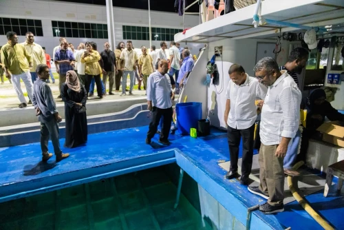 ބޮޑުބަދަލު - ފަޔާ2028 - އެމްޑީޕީ ޕްރައިމަރީ އައްޑޫ