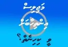 މަޖިލިސް އިންތިހާބަށް ވީ ކިހިނެތް؟