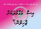 އިސް މަގާމުތަކަށް ޖާހިލުން ލައިގެން ގައުމު ދާނީ ކޮން ރާއްޖެ އަކަށް؟