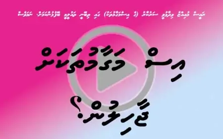 އިސް މަގާމުތަކަށް ޖާހިލުން ލައިގެން ގައުމު ދާނީ ކޮން ރާއްޖެ އަކަށް؟