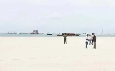 ހަ މަސް ތެރޭ ގޯތި ދޫކުރަން ލާޒިމް ކުރާ ބިލް ތަސްދީގެއް ނުކޮށް އަނބުރާ ފޮނުއްވާ ލައްވައިފި