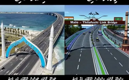 ޗައިނާ އާއި އިންޑިޔާގެ ލޯނު ދަންތުރައިގައި ހަނާވެ ފަނާވަނީ ދިވެހީންގެ ރާއްޖެ!