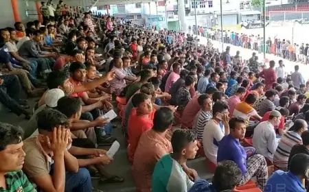 Quota-based Expatriate Employment in the Maldives: What is the Alternative?