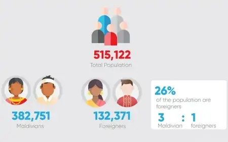 Dual Workforce in the Maldives: A Study in a Socio-legal Context