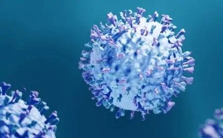 ނޭވާލާ ނިޒާމަށް ޖެހޭ ނުރައްކާތެރި ބައްޔެއް ފެތުރެނީ