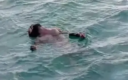 މަރުވެފައި އޮތް ފިރިހެނެއް - ހުޅުމާލެ ފަޅު ތެރޭގައި