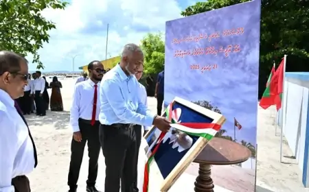 ރަސްގެތީމު ކައުންސިލްގެ އާ އޮފީސް އިމާރާތް ރައީސް މުއިއްޒު ހުޅުއްވައިދެއްވައިފި