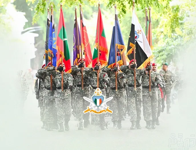 MNDF at the Crossroads: Modernization or Meltdown?