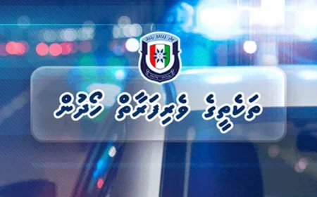 ފުލުހުންގެ ބެލުމުގެދަށުގައި ހުރި ބައެއް ތަކެތީގެ ވެރިފަރާތްތައް ހޯދަނީ