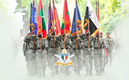 MNDF at the Crossroads: Modernization or Meltdown?