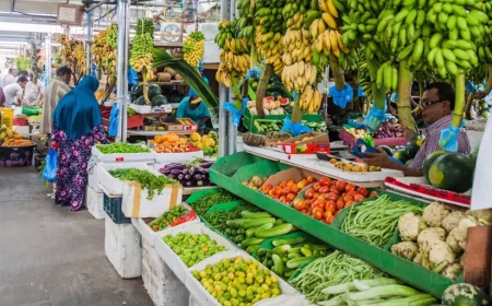 އަގު ނުޖަހައި އެއްވެސް މުދަލެއް ވިއްކަން ބެހެއްޓުމަކީ މަނާ ކަމެއް!